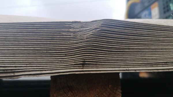 damaged mushroom leathergrain